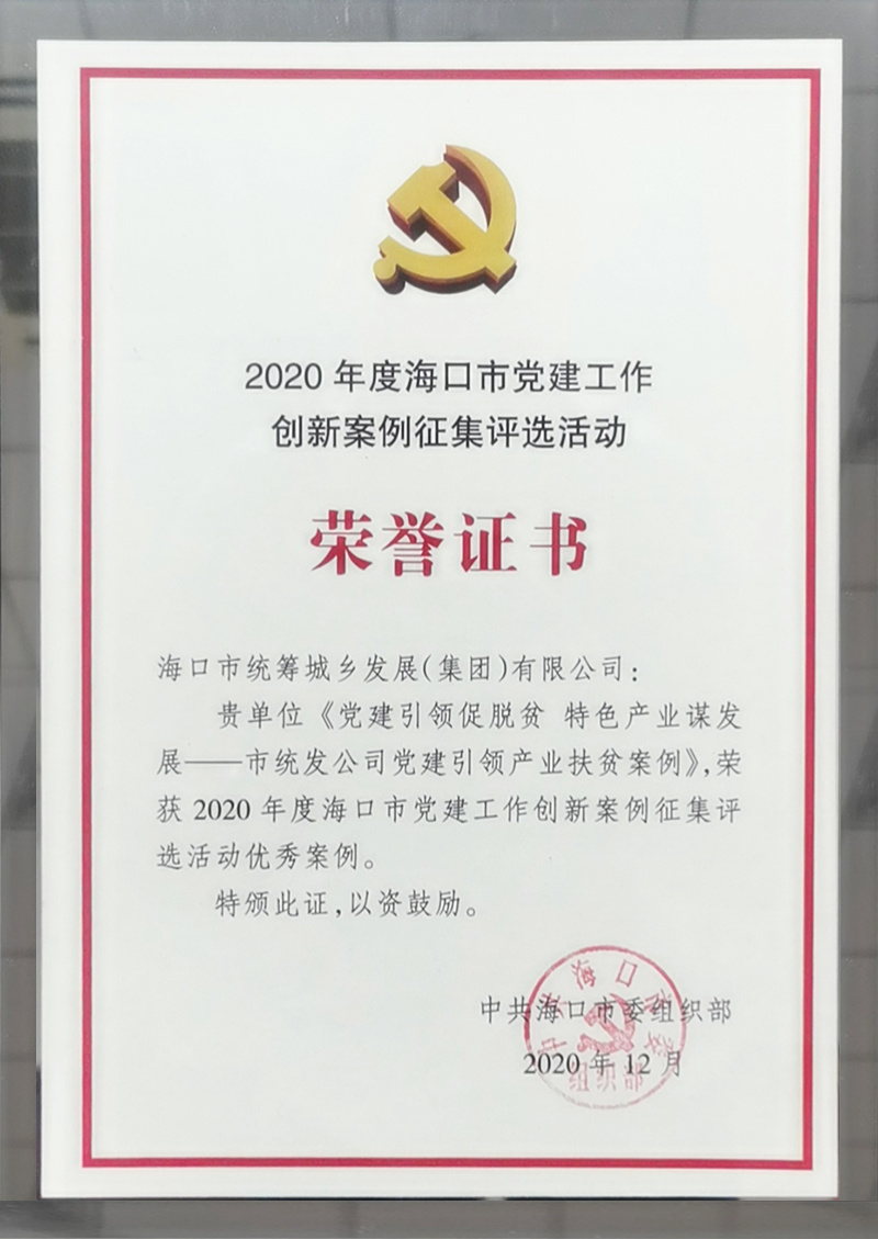 2020年度?？谑悬h建工作創(chuàng)新案例征集活動(dòng)優(yōu)秀案例